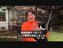猫100匹以上と生活　英国の家族、全財産手放し自宅をシェルターに