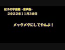 紅子の宇宙船 －音声版－ 2022年11月30日