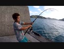 【奄美】GTを釣り上げろ！【大島軍】