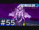 【聖剣伝説3ToM】義賊と王女と王女とひよこの話 55【Steam版】