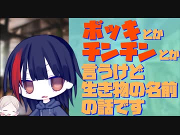 【動物のことを話したい#10】ボッキとかチンチンというけど生き物の名前の話です