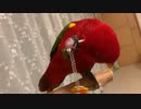 Red birb□chupa chups