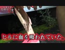 フィッシャーズ4