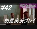 【ニーアレプリカント】感情移入の激しい人が頑張る実況#42【実況】