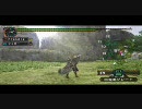 MHP2Gはじめてみた～その28-2～