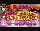 マリン船長の無茶振りを爆笑に変えてしまうルーナ姫【大空スバル/癒月ちょこ/宝鐘マリン/姫森ルーナ/獅白ぼたん/ホロライブ切り抜き】