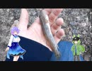 【ずんだもんしあわせ誕生祭2022】ソフトウェアトークフィッシングⅫ　ハゼ釣り