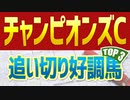 【チャンピオンズカップ2022】追い切り・調教が高評価だった3頭は？【チャンピオンズC予想】