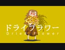 中国人からの【歌ってみた】ドライフラワー　日本語＋中国語