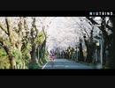スコール feat. No.7 - arcane.