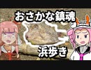 【琴葉姉妹の浜歩き】浜辺の片隅で天に召されたひもの【VOICEROID劇場】