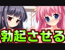 【紳士向け】#173　賢者と化したお兄ちゃんを元気づけよう【妹ぱらだいす！】