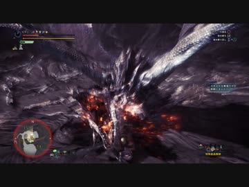 [MHWI]銀の逆光　氷鉄ハバク