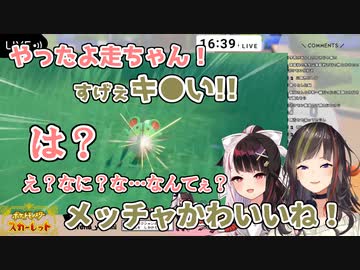 【ポケモンSV】色違いマリルを見たときにド直球な感想が出てしまう早瀬走【にじさんじ切り抜き】