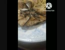 タラのソテーにいそ松葉あうよ魚食べるの上手な人骨だけ残して食べるソテーに食べる違ったくそ丁寧に食べる