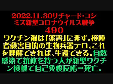 【2022年11月30日：リチャード・コシミズ Internet 講演 （ ニコニコ生放送 ）（ 改良版 ）】