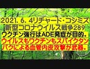 【2021年06月04日：リチャード・コシミズ Internet 講演（ 改良版 ）】