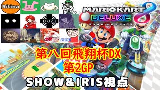 【実況】マリオカート8DELUXEをやりまSHOW 第八回飛翔杯DX 第2GP チーム戦【SHOW&IRIS視点】