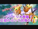 回復量が戻って以前の生存率戻ってきた？王冠ドードリオ【ポケモンユナイト133】