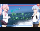 葵ちゃんの釣りドキッ！つられドキッ！ その６【東京湾エギタコ】