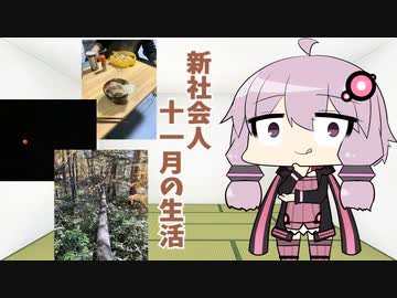 11月の生活