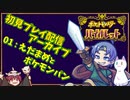 ポケモンV配信アーカイブ01