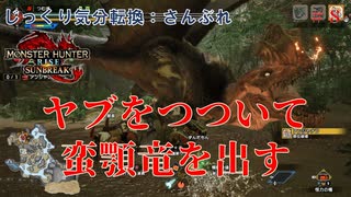 【MHRise:SB】第8回　ヤブをつついて蛮顎竜を出す　じっくり気分転換　モンスターハンターライズ:さんぶれ