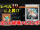 レベルを19まで上昇させ全てを破壊するソリテアマジカルのコンボを決められる決闘者