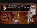 決して行ってはならない“約束の場所” #18【霧雨が降る森 リメイク版】