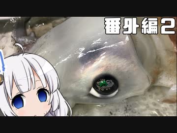 あかりちゃんと行くカヤックフィッシング番外編2