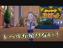 【ポケットモンスター】ソウルシルバーを途中でやめたボクが最新作遊ぶ！ 第8回