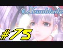 【実況】限りなく初見に近い『ゼノブレイドDE』を全力で楽しむ　#75