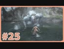 【実況】SEKIROで遊んじゃうどー Part25