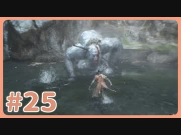 【実況】SEKIROで遊んじゃうどー Part25