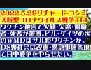 【2022年05月29日：リチャード・コシミズ  Internet 講演（ 改良版 ）】