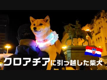 クロアチアに移住した柴犬ももっぷが紹介するクロアチアってこんなところ