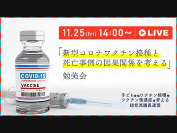 「新型コロナワクチン接種と死亡事例の因果関係を考える」勉強会【子どもへのワクチン接種とワクチン後遺症を考える超党派議員連盟】全編修正版