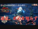 【MHRise:SB】第9回　迅雷、止めを知らず　じっくり気分転換　モンスターハンターライズ:さんぶれ