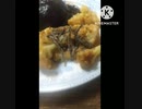 カリフラワーカレー炒めにもいそ松葉あうよ臨時収入あったカリフラワー違った借り払うわ