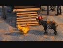 トリあえずニワトリを大きくする〔Goat Simulator3〕パート4