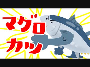 まぐろカツ！！（嫌がる娘に無理やり弁当を持たせてみた息子編）