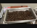 珈琲豆のガラス器具焙煎記録(20221204-1)