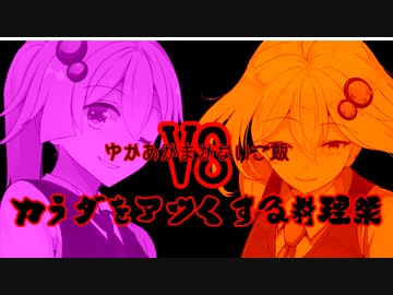 ゆかあかまかないご飯VS Ⅱ-a 【生姜と鶏肉】【カラダをアツくする料理祭】