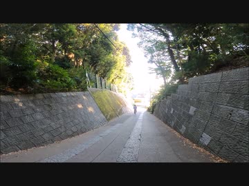 千葉県市川市真間-市川を歩く【今度こそ市川市編 part 2】【散歩209】