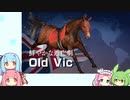 【ウイニングポスト9(2022)】(#08)あおいちゃんの気まぐれガビー【琴葉姉妹実況プレイ】