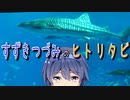 【Cevio旅行 】すずきつづみのヒトリタビ  ～沖縄編② 水族館とアメリカの街並み～