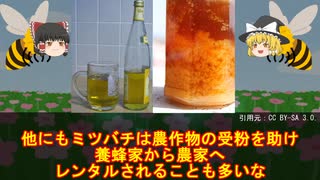 ハチミツの甘くない話【雑談】