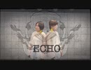 【こめ大臣×小麦粉100】ECHO　踊ってみた【オリジナル振付】
