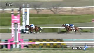 ペプチドハドソン　阪神・2歳未勝利　2022年12月3日