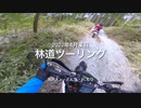 みんなで林道ツーリング